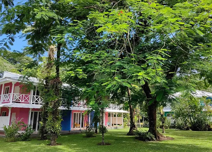 Hotel near College: Tortuga Lodge & Gardens By Boeena